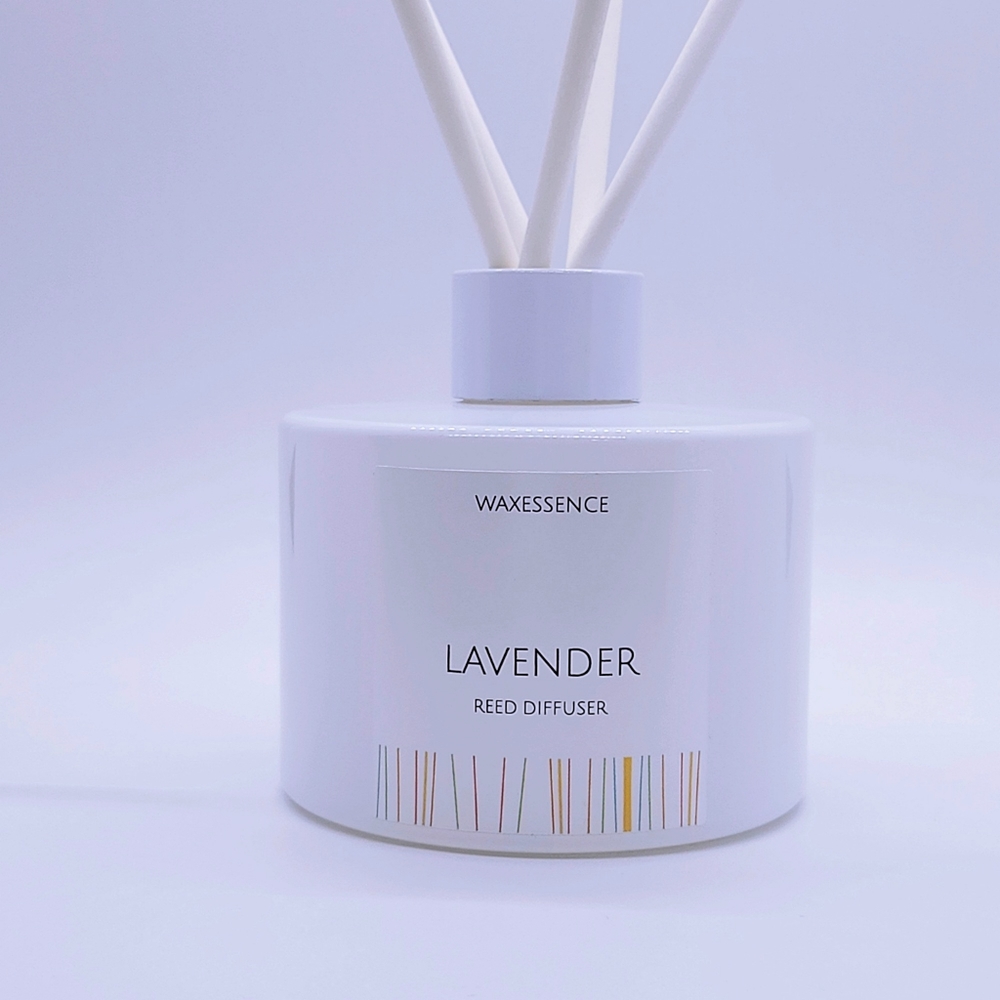 Lavender Reed Diffuser | Essenza Gloss White | Aromatherapy Home Decor